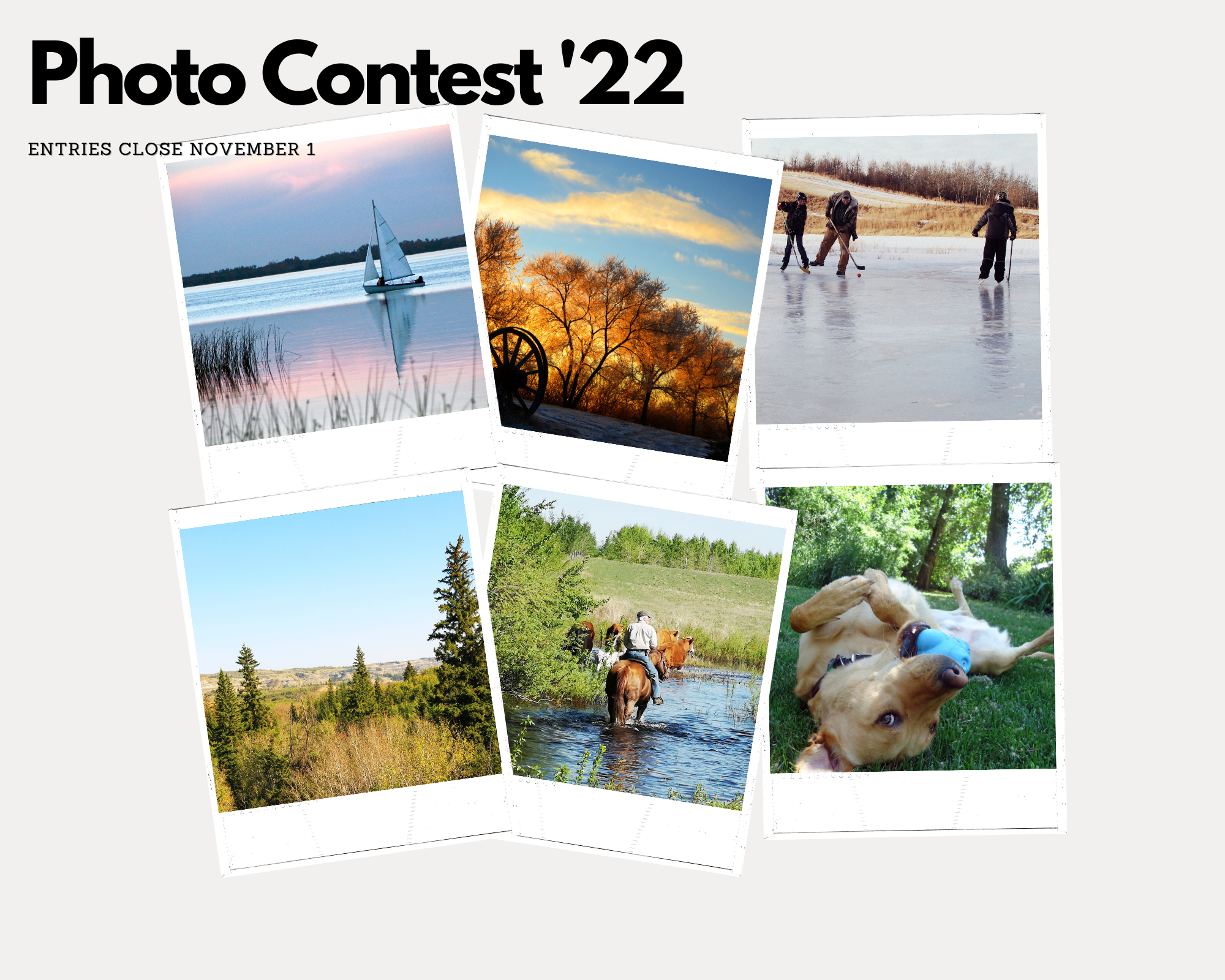 Photo Contest Graphic
