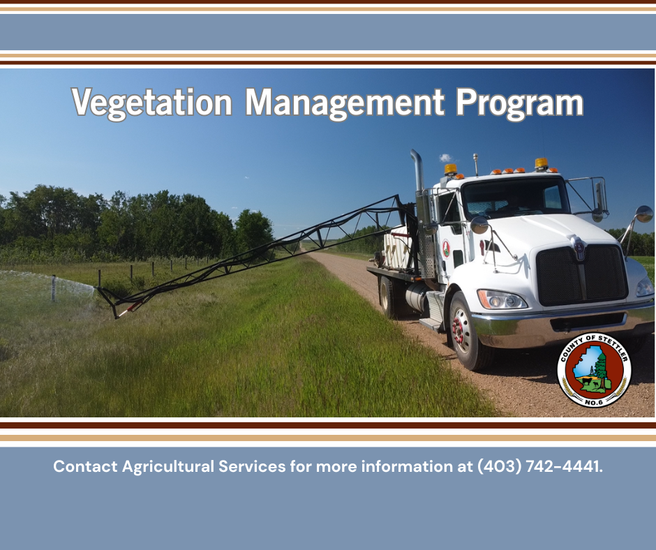 Vegetation Management Program