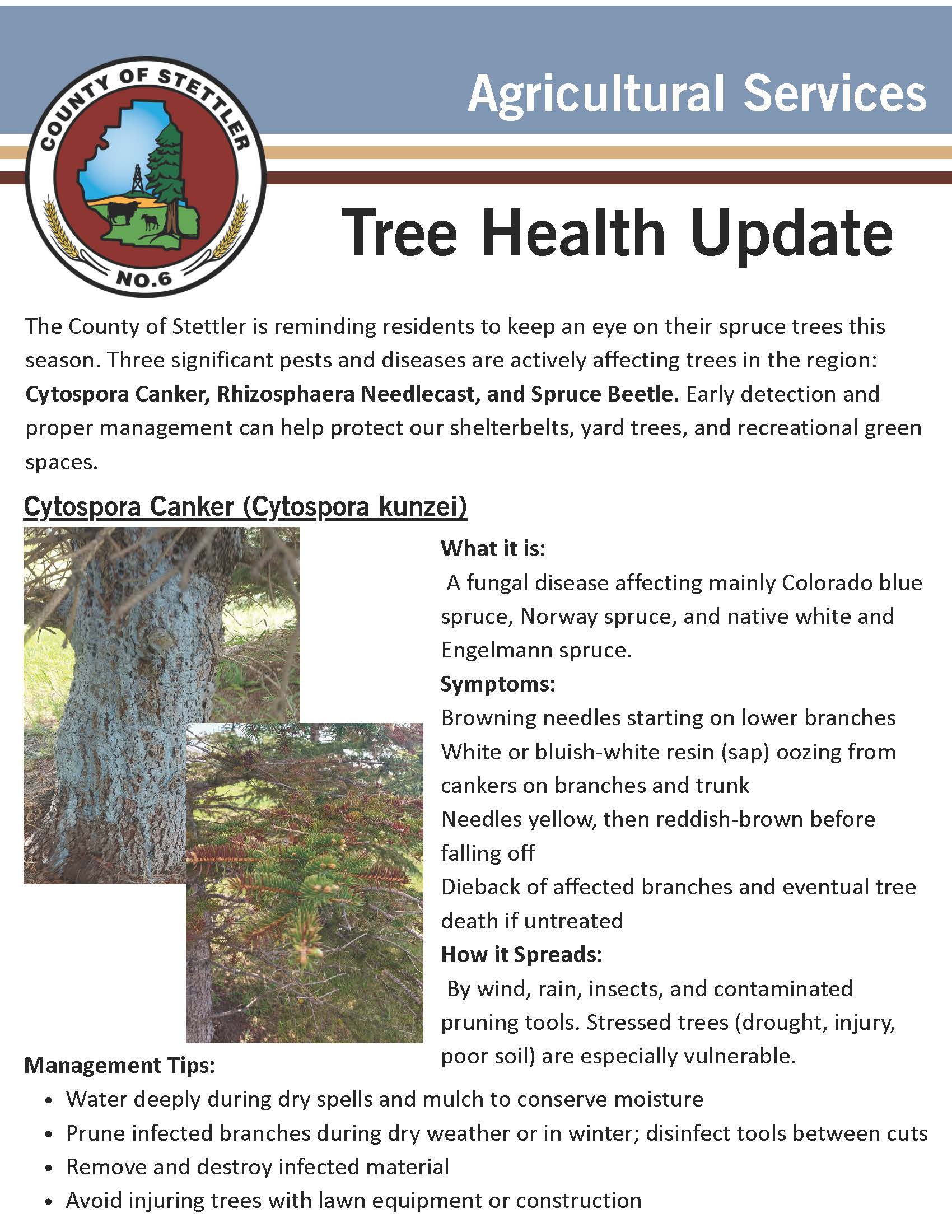 Agricultural Services Tree Health Update Summer 2025_Page_1